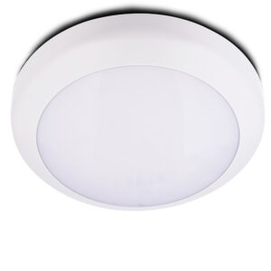 4 Entry 3CCT Waterproof IP65 LED Ceing Light